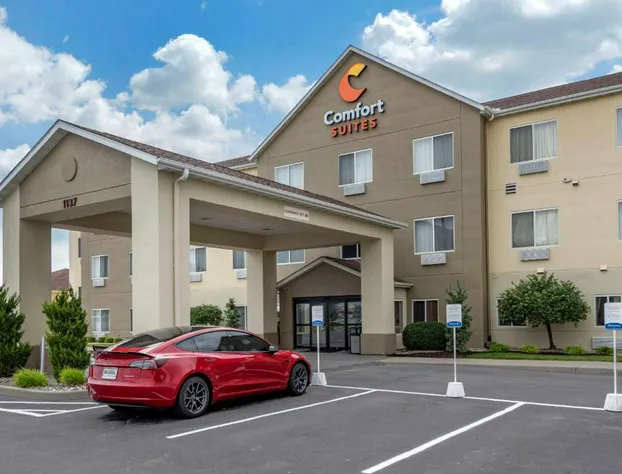 Comfort Suites Auburn near I-69 hotel detail image 1