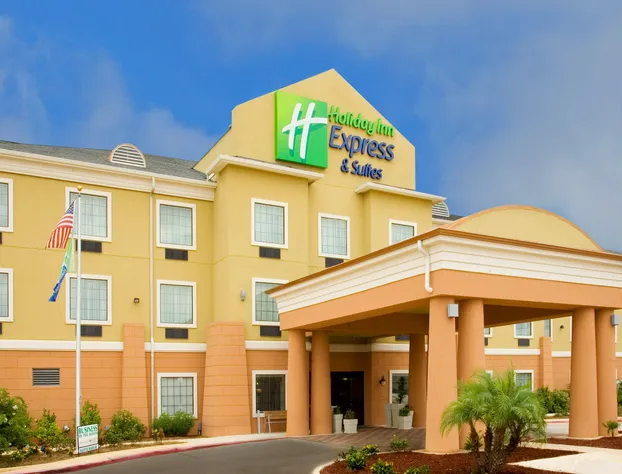 Holiday Inn Express Jourdanton - Pleasanton by IHG hotel detail image 2