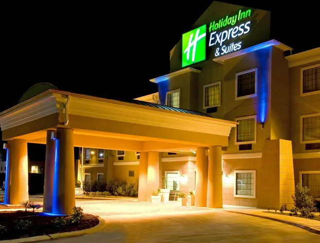 Holiday Inn Express Jourdanton - Pleasanton by IHG hotel detail image 1