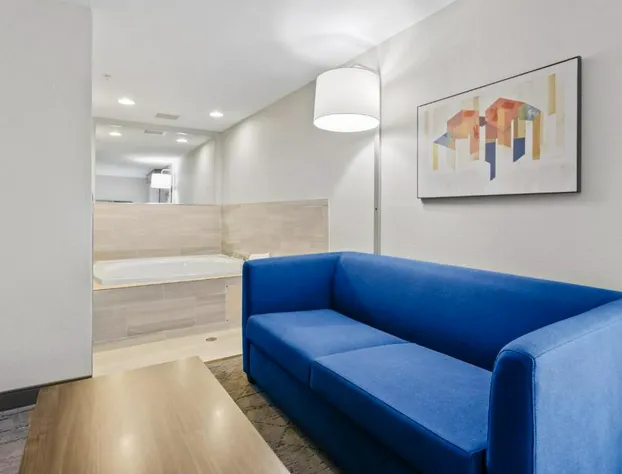 Holiday Inn Express Hotel & Suites Mount Airy by IHG hotel detail image 4