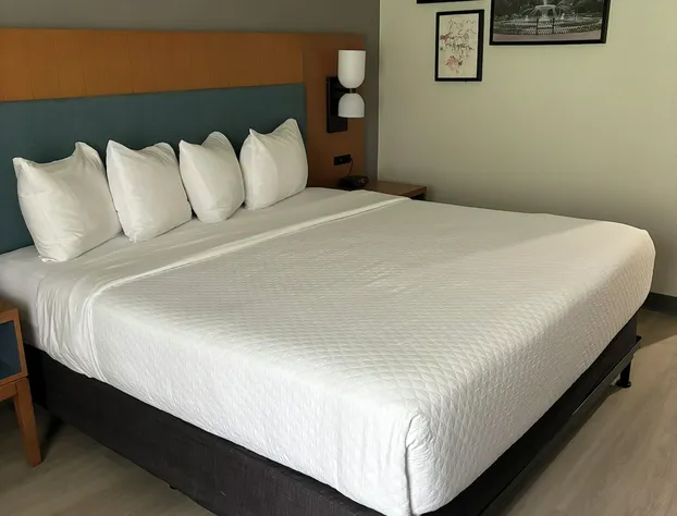 Country Inn & Suites by Radisson, Shelby, NC hotel detail image 3