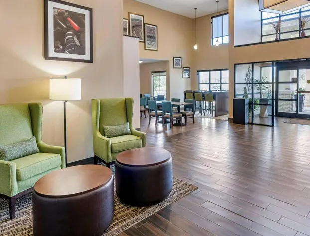 Comfort Inn & Suites Lincoln I-20 hotel detail image 2