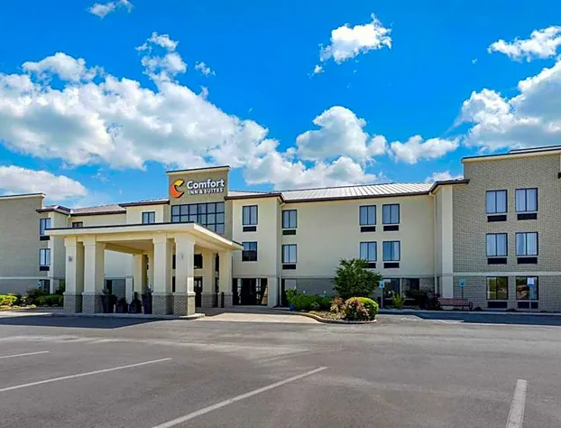 Comfort Inn & Suites Lincoln Talladega I-20 hotel detail image 4