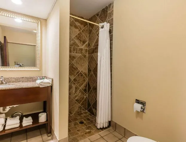Comfort Inn & Suites Jasper Hwy 78 West hotel detail image 4