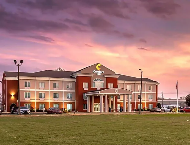 Comfort Inn US Hwy 80 hotel detail image 1