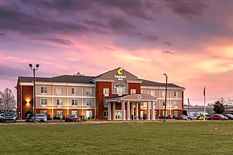 Comfort Inn US Hwy 80 hotel detail image 4