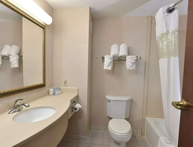 Hampton Inn Selma hotel detail image 4