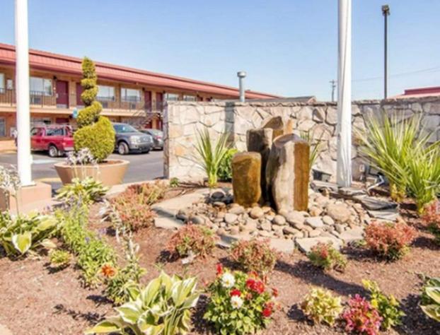 Quality Inn & Suites Airport hotel detail image 3