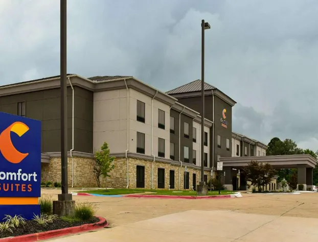 Comfort Suites Forrest City hotel detail image 3