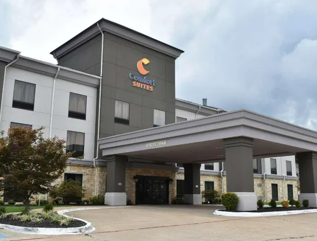 Comfort Suites Forrest City hotel detail image 2