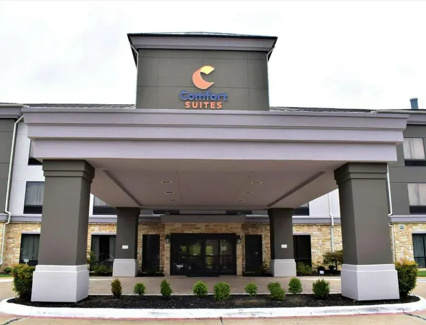 Comfort Suites Forrest City hotel detail image 4