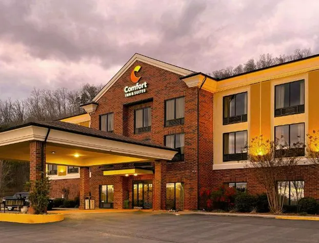 Comfort Inn & Suites Rogersville hotel detail image 1