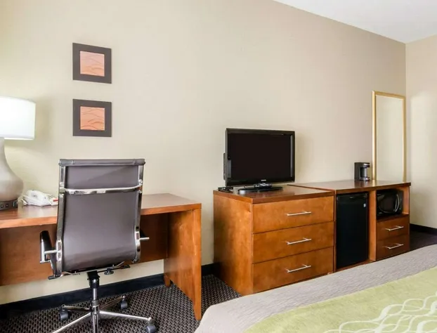 Comfort Inn Garden City hotel detail image 4
