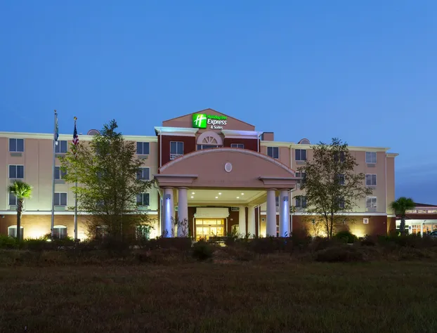 Holiday Inn Express and Suites Moultrie by IHG hotel detail image 1