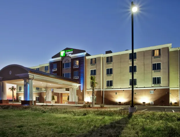 Holiday Inn Express and Suites Moultrie by IHG hotel detail image 2