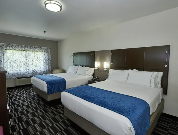 Holiday Inn Express & Suites Birmingham South - Pelham by IHG hotel detail image 4