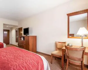 Comfort Inn & Suites Atoka-Millington hotel detail image 2