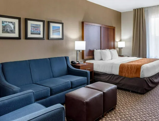 Comfort Inn & Suites Atoka-Millington hotel detail image 4