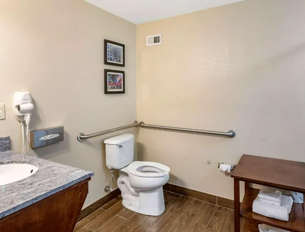 Comfort Inn & Suites Atoka-Millington hotel detail image 4