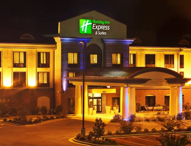 Holiday Inn Express Hotel & Suites Dyersburg by IHG hotel detail image 1