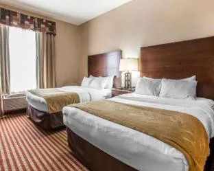 Comfort Suites Troy-I75 hotel detail image 4