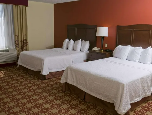 Hampton Inn & Suites Wiggins hotel detail image 1