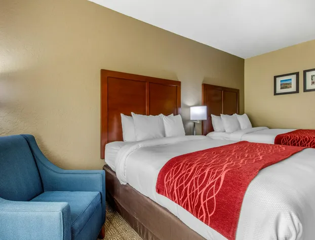 Comfort Inn & Suites McComb hotel detail image 4