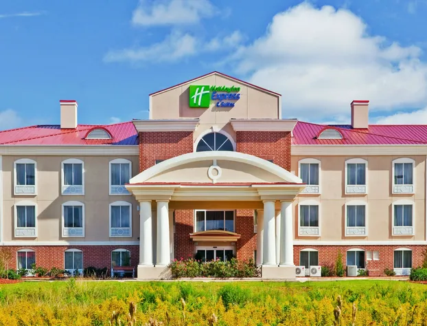 Holiday Inn Express Hotel & Suites Magee by IHG hotel detail image 1