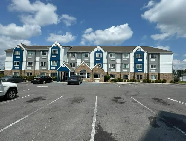 Microtel Inn & Suites by Wyndham Albertville hotel detail image 1