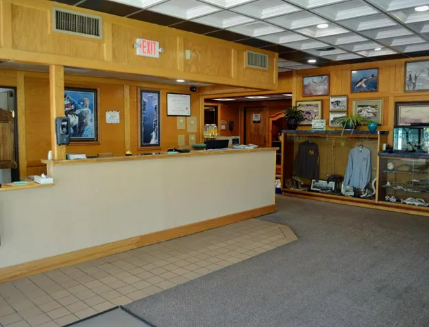 Hot Springs Hotel and Spa hotel detail image 2