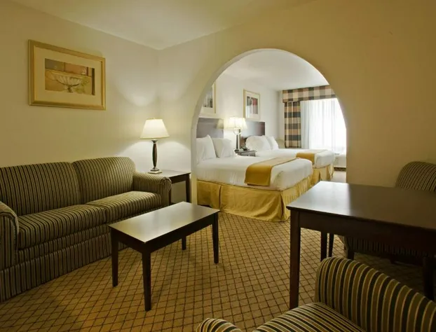 Holiday Inn Express & Suites Childress by IHG hotel detail image 2