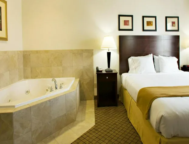 Holiday Inn Express & Suites Childress by IHG hotel detail image 3