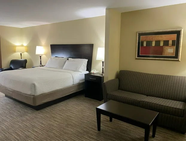 Holiday Inn Express &Suites Snyder by IHG hotel detail image 4