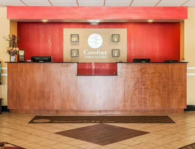 Comfort Inn & Suites hotel detail image 2