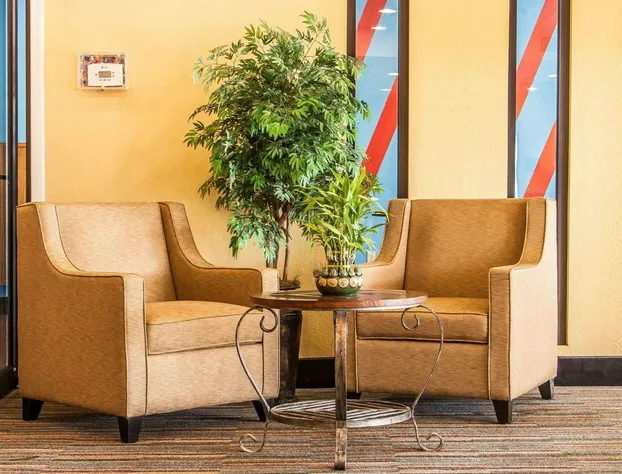 Comfort Inn & Suites hotel detail image 4