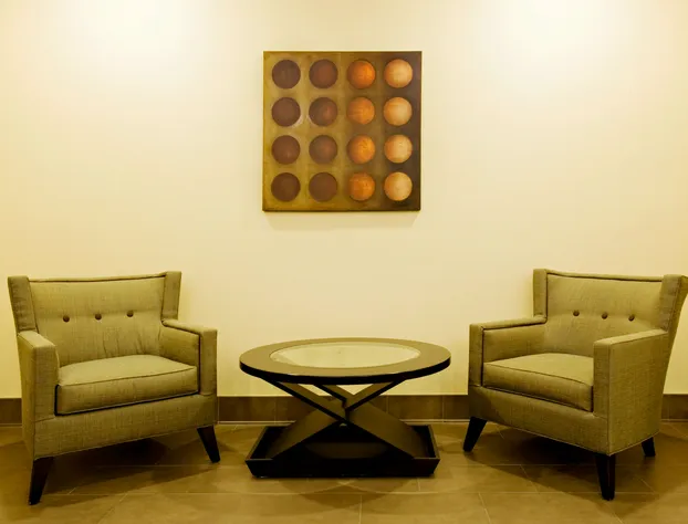 Holiday Inn Express & Suites Borger by IHG hotel detail image 1