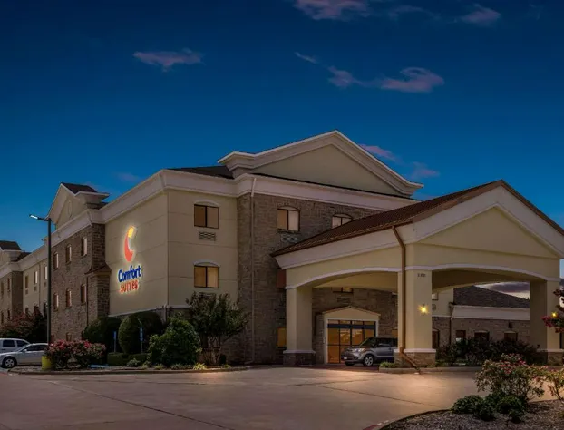 Comfort Suites Lindale - Tyler North hotel detail image 2