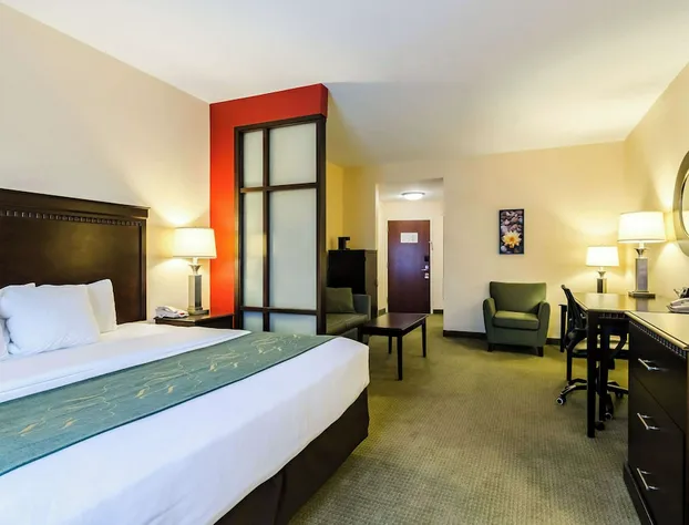 Comfort Suites Gothenburg hotel detail image 4