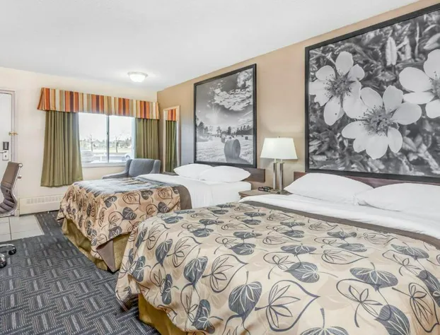 Super 8 by Wyndham Stettler hotel detail image 2