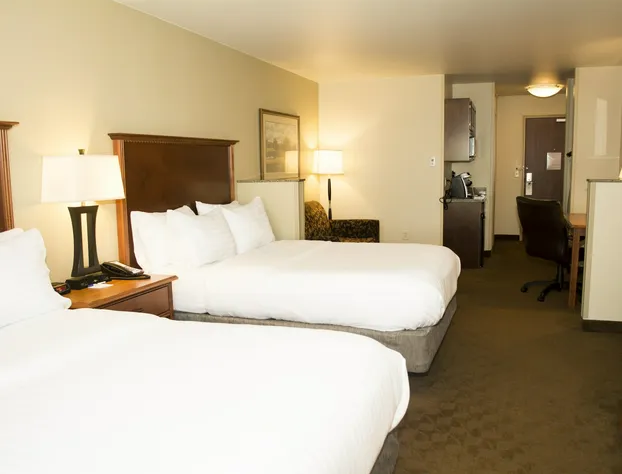 Holiday Inn Express and Suites Mason City by IHG hotel detail image 4