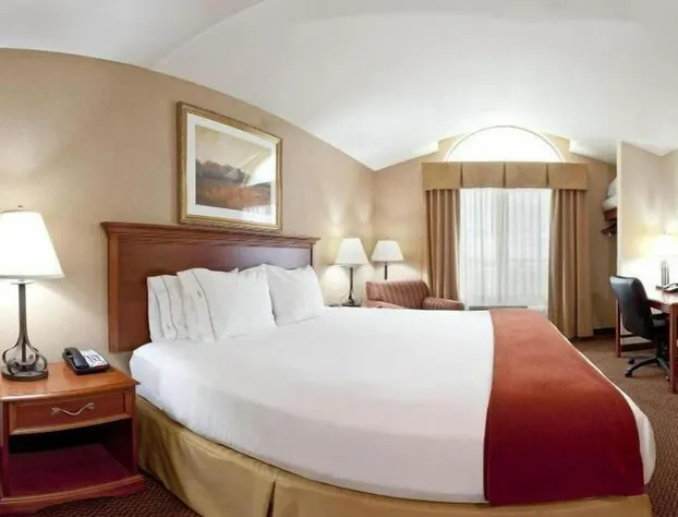 Holiday Inn Express & Suites Sheldon by IHG hotel detail image 4