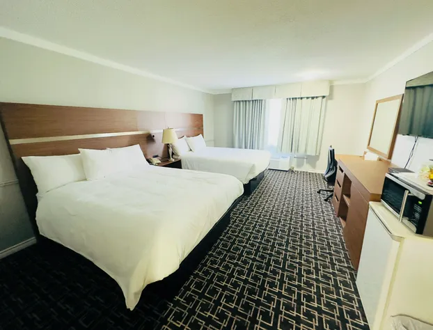 Baymont by Wyndham Edson hotel detail image 4