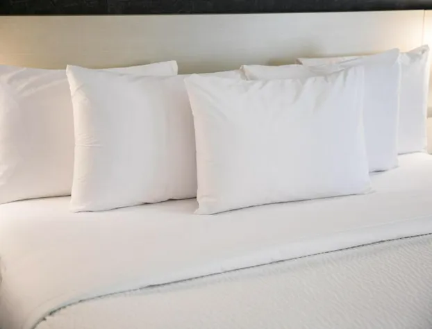 Days Inn by Wyndham Chetwynd hotel detail image 4