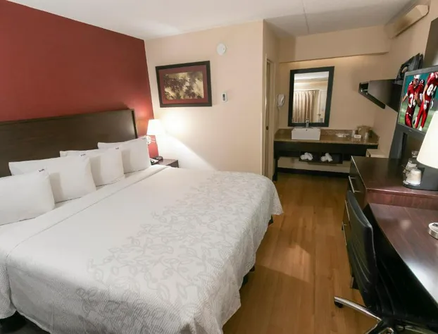 Red Roof Inn PLUS+ Baltimore-Washington DC/ BWI South hotel detail image 4