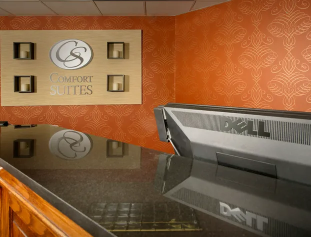 Comfort Suites Dulles Airport hotel detail image 2