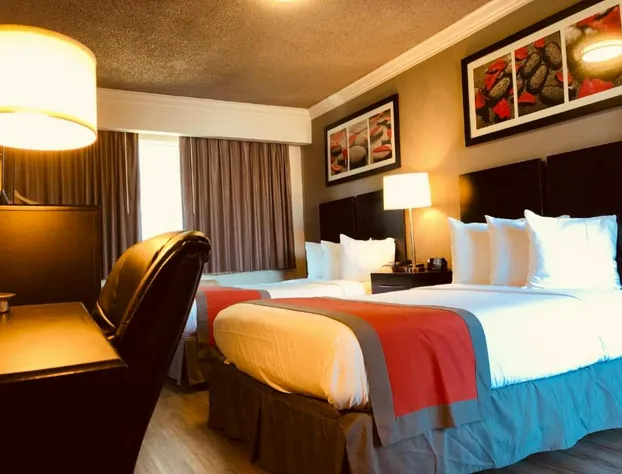 The Lexmar Dodger Stadium Hollywood hotel detail image 3