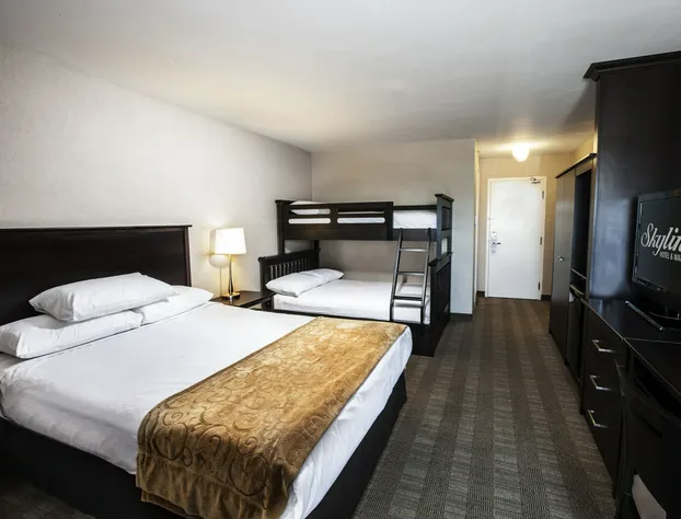 Skyline Hotel & Waterpark hotel detail image 4