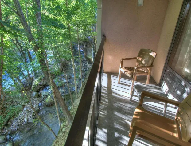 Hampton Inn Gatlinburg hotel detail image 4