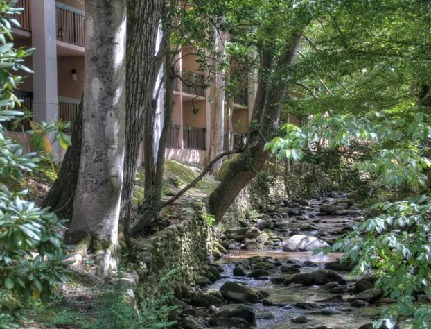 Hampton Inn Gatlinburg hotel detail image 2