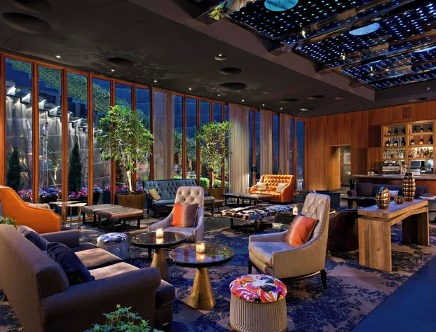 Dream Downtown, by Hyatt hotel detail image 4